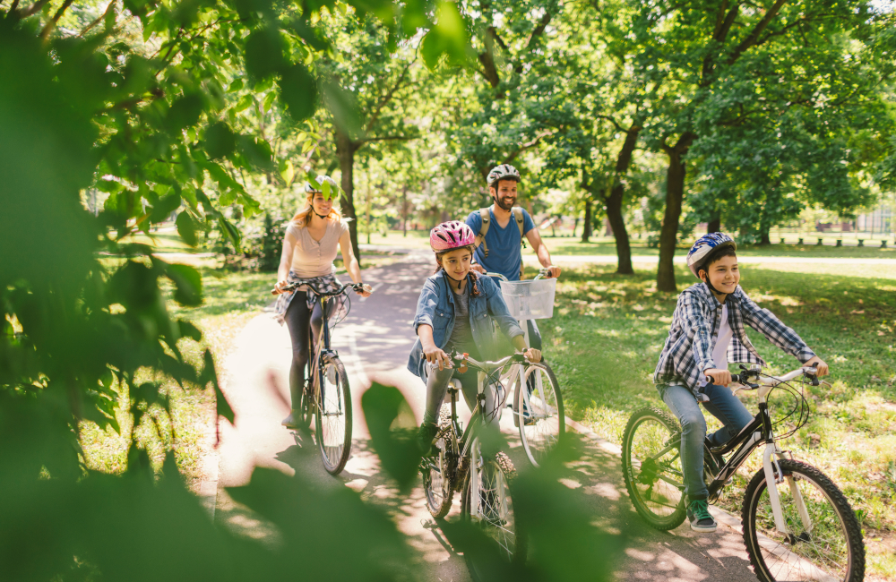 Family riding bicycle in the public park together. Cycling and enjoying the sunny day